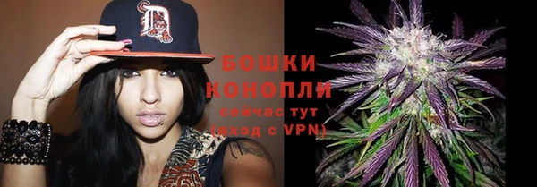 молекула духа Баксан