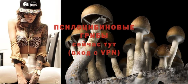 молекула духа Баксан