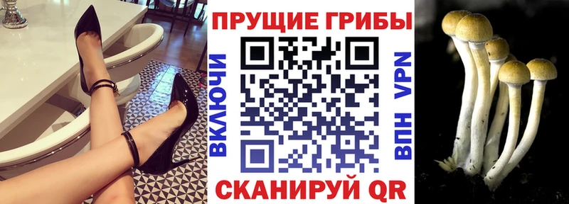 Псилоцибиновые грибы ЛСД Давлеканово